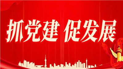 支部優(yōu)化強根基 黨建煥發(fā)新活力