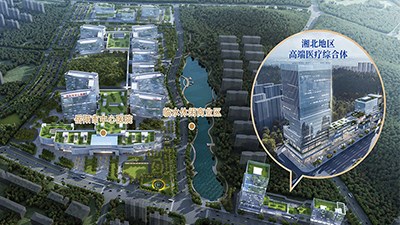 岳陽(yáng)市中心醫(yī)院配套健康管理中心 湘北地區(qū)健康醫(yī)療綜合體 招商公告