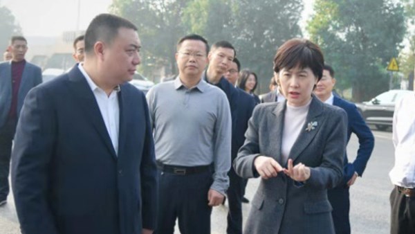 市委副書記、市長李愛武調(diào)研公司胥家橋綜合物流園項目建設(shè)