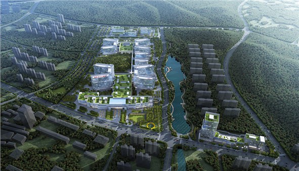 岳陽(yáng)市中心醫(yī)院暨配套工程項(xiàng)目正式開工建設(shè)