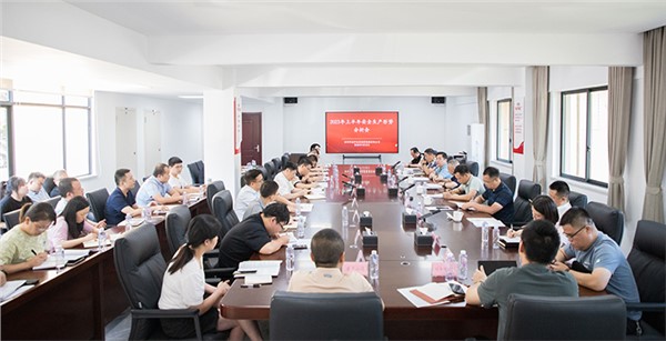 集團召開2023年上半年安全生產形勢分析會